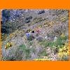 PIC_0467_edited.JPG