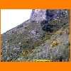 PIC_0468_edited.JPG