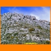 PIC_0472_edited.JPG