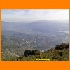 PIC_0475_edited.JPG