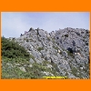 PIC_0482_edited.JPG