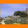 PIC_0483_edited.JPG