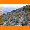 PIC_0491_edited.JPG
