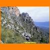 PIC_0493_edited.JPG