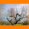 PIC_0495_edited.JPG