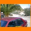 PIC_0499_edited.JPG