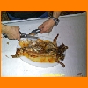 PIC_0502_edited.JPG