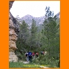 PIC_0607_edited.JPG