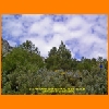 PIC_0617_edited.JPG