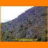 PIC_0623_edited.JPG