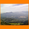 PIC_0628_edited.JPG