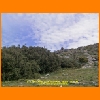 PIC_0639_edited.JPG