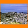 PIC_0667_edited.JPG