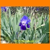 PIC_0673_edited.JPG
