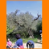 PIC_0688_edited.JPG