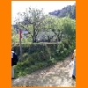 PIC_0693_edited.JPG