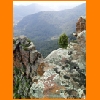 PIC_0743_edited.JPG