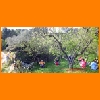 006_93949596.jpg