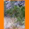 PIC_0883_edited.JPG