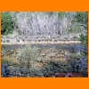 PIC_0889_edited.JPG