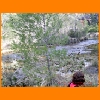 PIC_0890_edited.JPG