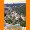 PIC_0903_edited.JPG