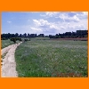 PIC_0925_edited.JPG