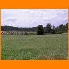 PIC_0929_edited.JPG