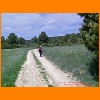 PIC_0931_edited.JPG
