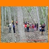 PIC_0999_edited.JPG