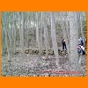 PIC_1001_edited.JPG