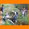 PIC_1029_edited.JPG
