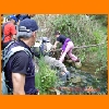 PIC_1037_edited.JPG