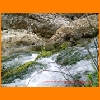 PIC_1040_edited.JPG