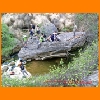 PIC_1045_edited.JPG