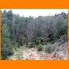 PIC_1047_edited.JPG