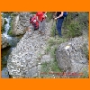PIC_1063_edited.JPG