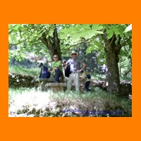 PIC_0995_edited.JPG