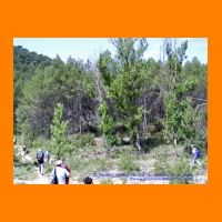 PIC_1003_edited.JPG