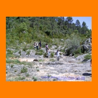 PIC_1010_edited.JPG