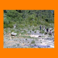 PIC_1011_edited.JPG