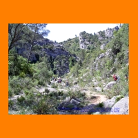 PIC_1014_edited.JPG