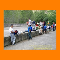 PIC_1145_edited.JPG