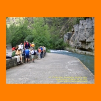 PIC_1146_edited.JPG