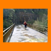 PIC_1162_edited.JPG