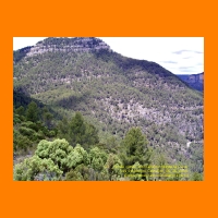 PIC_1174_edited.JPG