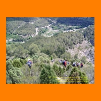 PIC_1186_edited.JPG