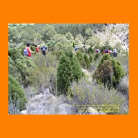 PIC_1187_edited.JPG