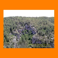 PIC_1190_edited.JPG
