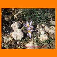 DSCN0808.JPG